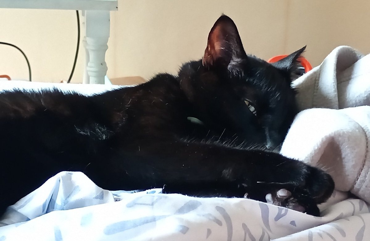 (((Jaia-Tikva)))🎗️🇦🇷🇮🇱#AmIsraelJai tweet media