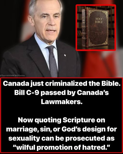 NWRain-Judi tweet media