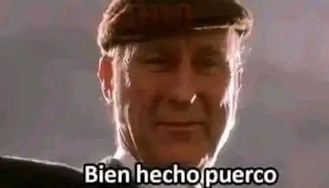 DubiDarling tweet media