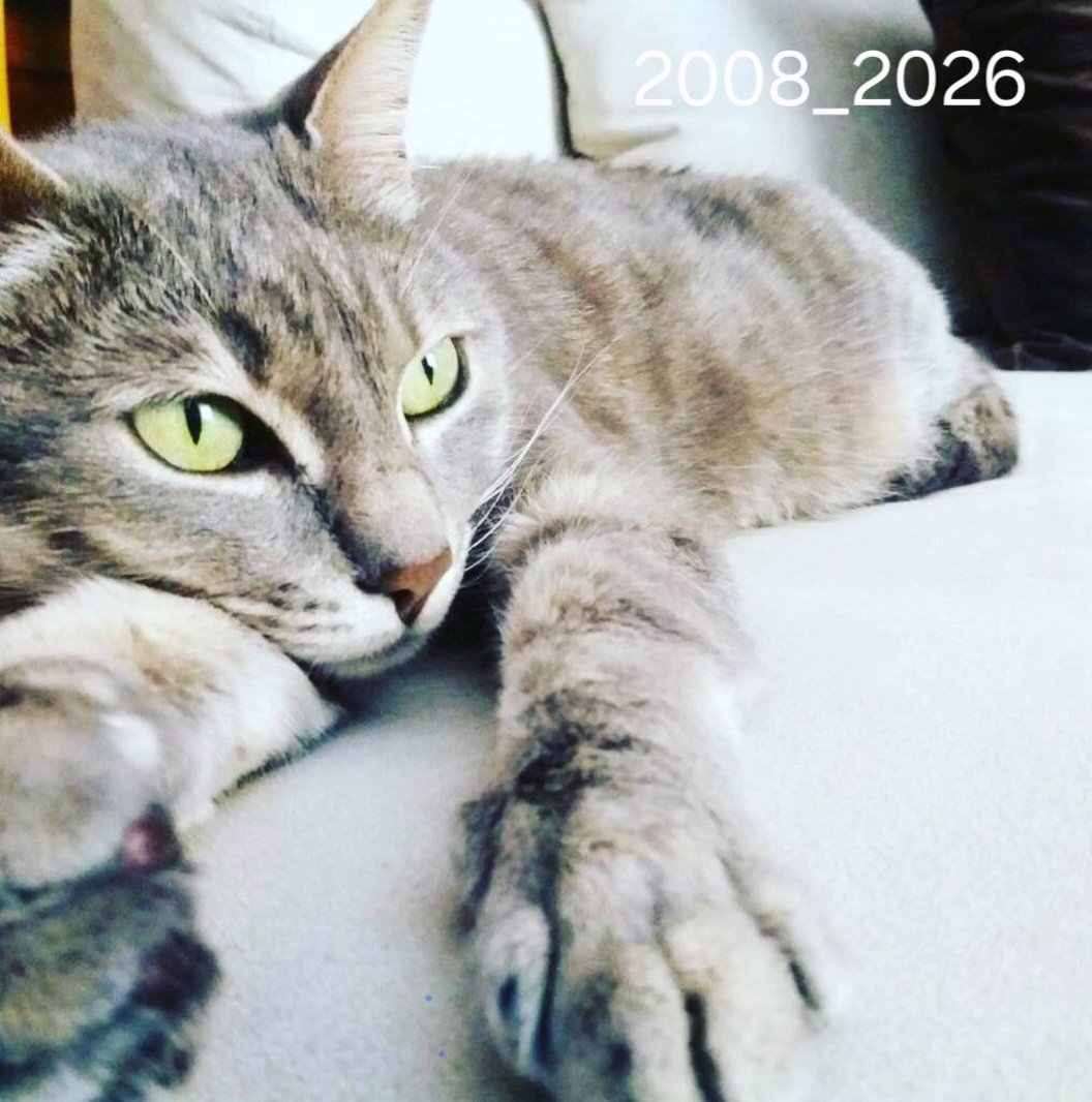 👑Mary S🚜🥊 tweet media