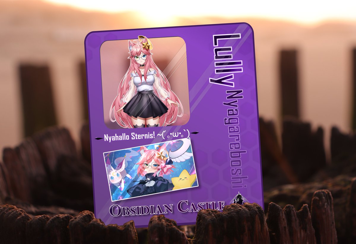 Obsidian Castle Services @Dokomi2026 tweet media