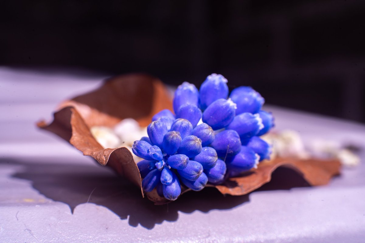 MCTinus 😼 tweet media