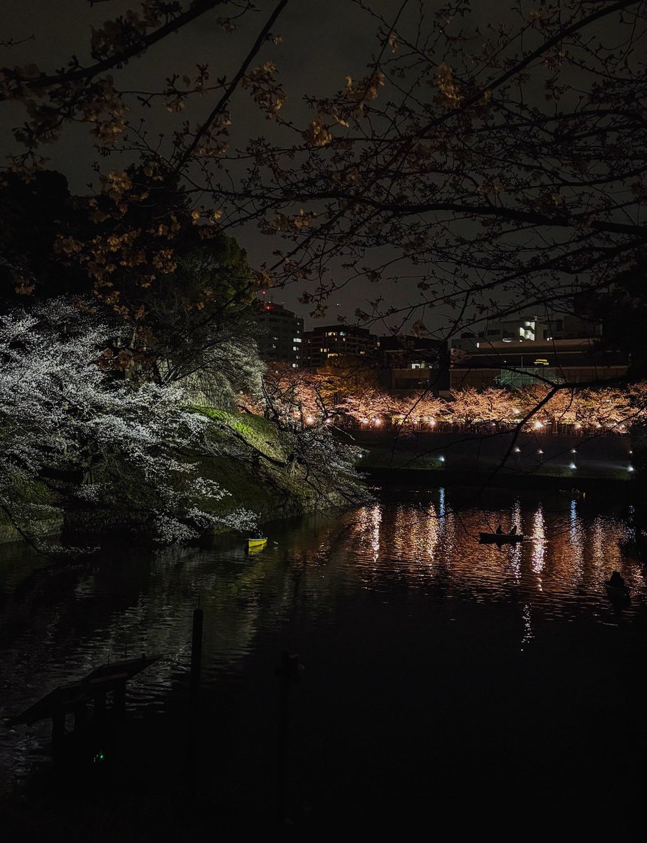 月1、2回しかダンスシューズ履かないからサークル行くと毎回筋肉痛になる、、
桜咲いてるうちに仕事終わってお花見がてらサークルに参加できたらいいなの気持ち
