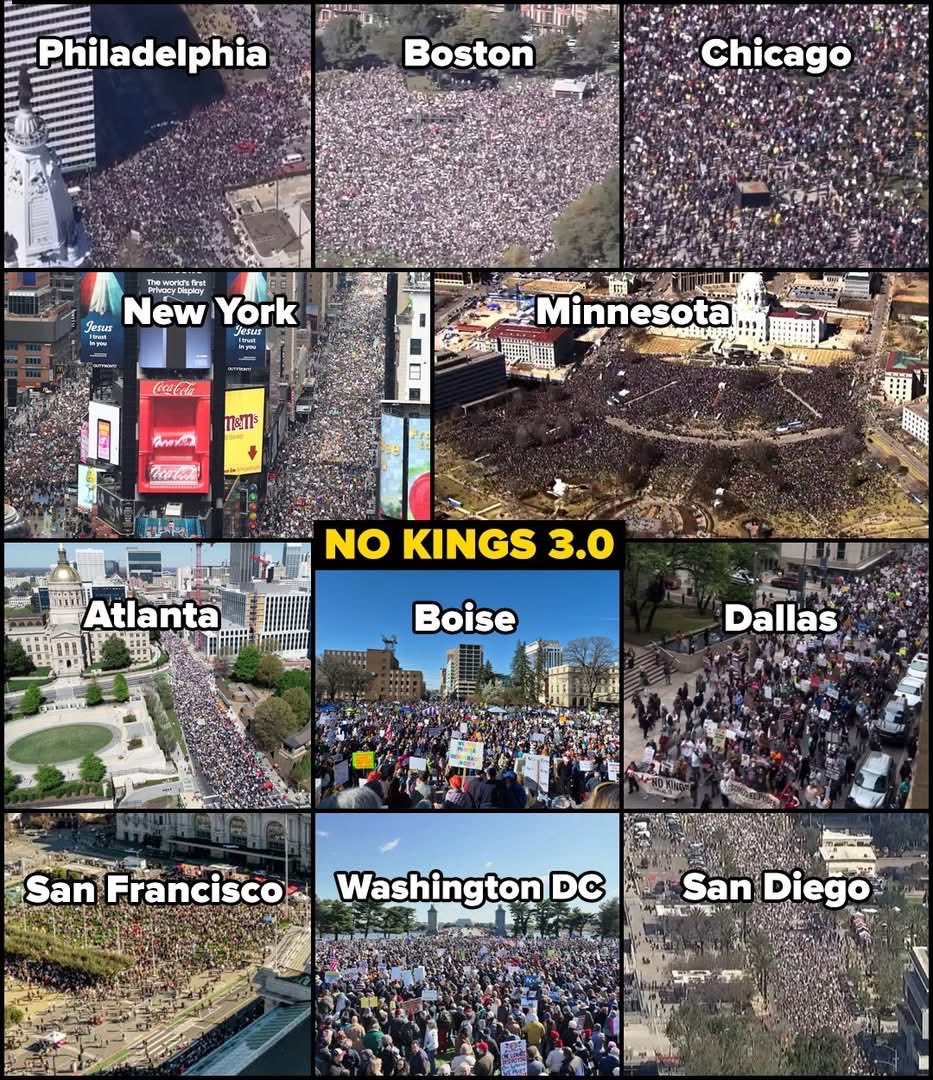 Lynnez 🌊♥️🇺🇸 Rib Gone Rogue tweet media