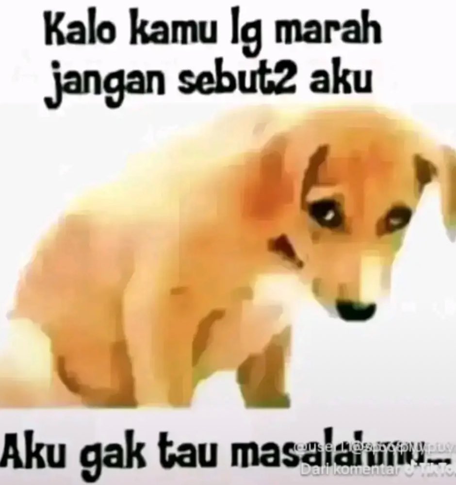 ๐๐ข๐ฅ๐ฅ๐ข๐๐ฆ ๐๐๐ง๐ฎ๐ข๐ง๐จ๐จ tweet media