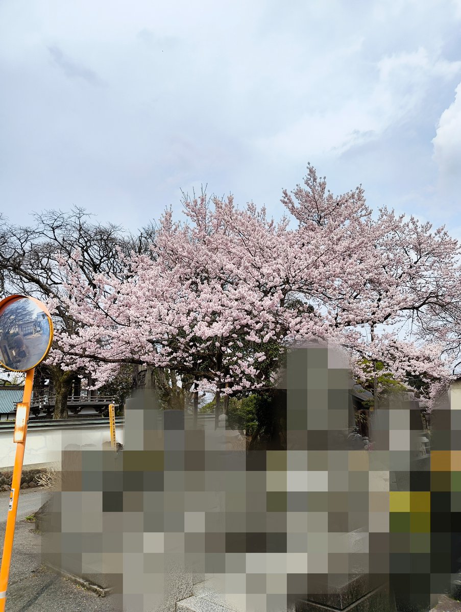 ぬまＱ tweet media