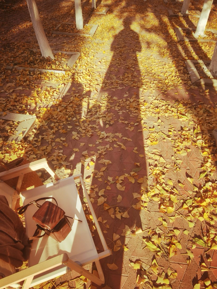 Verginia Chiarato tweet media