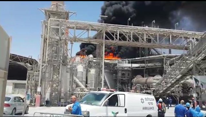 बघीरा 😺 tweet media