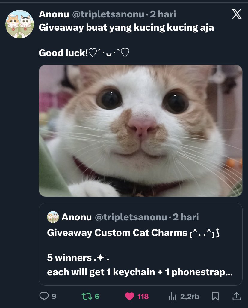 𝓴𝓪𝓷𝔂𝓪 ⋆𐙚₊˚⊹ tweet media