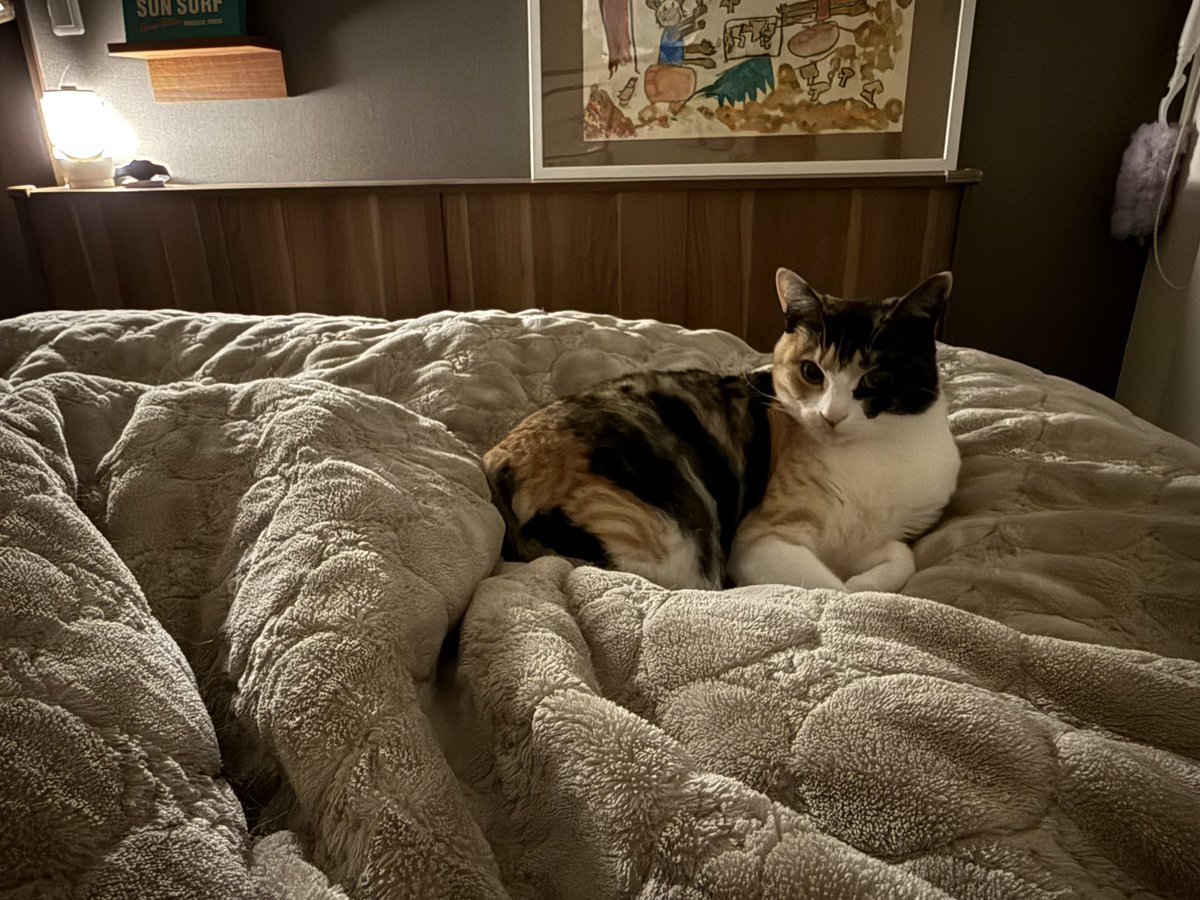 ともザベス tweet media