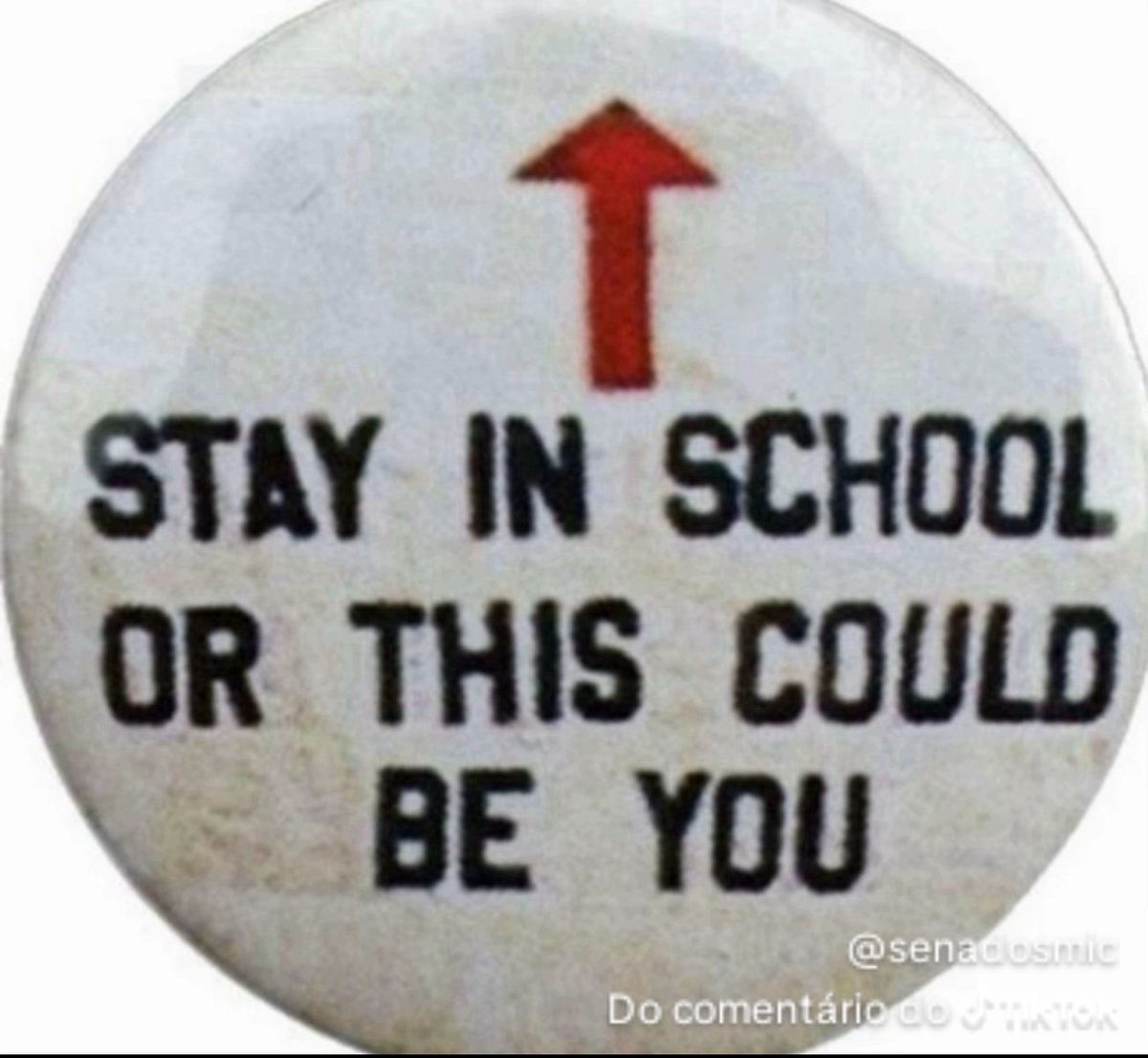 Rod 𝕏 tweet media