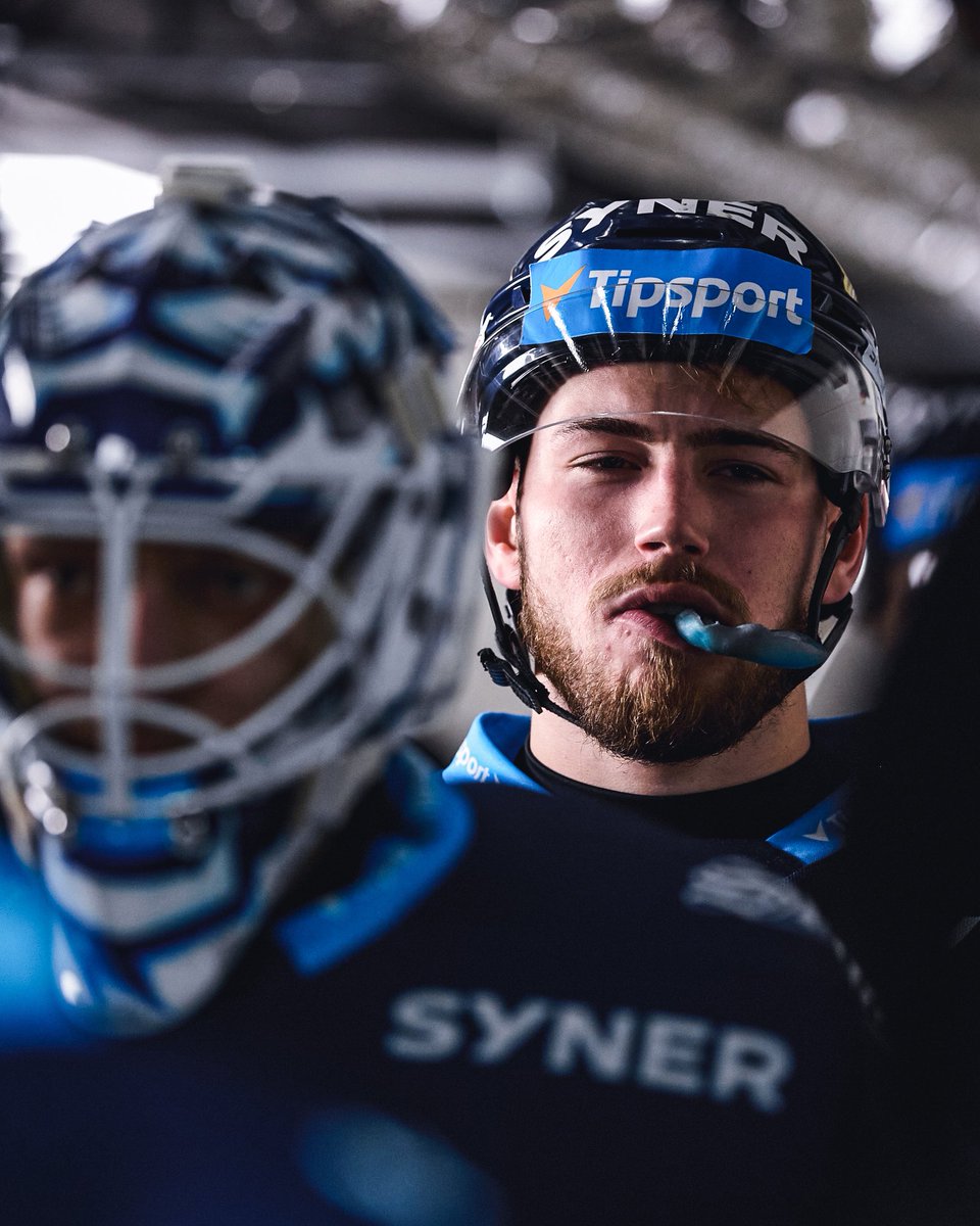 Bílí Tygři Liberec tweet media