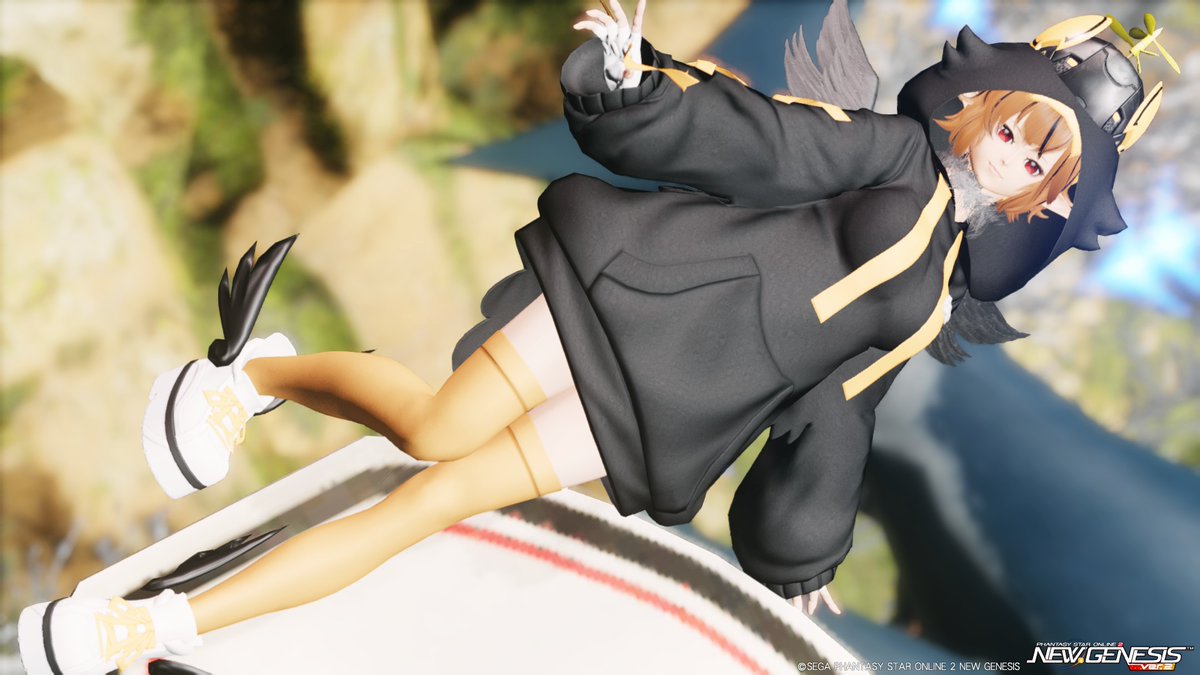 ただのこけぴよ～♪
#PSO2NGS_SS