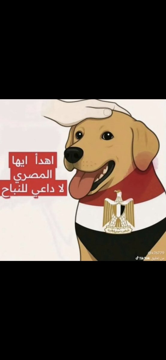 BEN 🇸🇦 tweet media