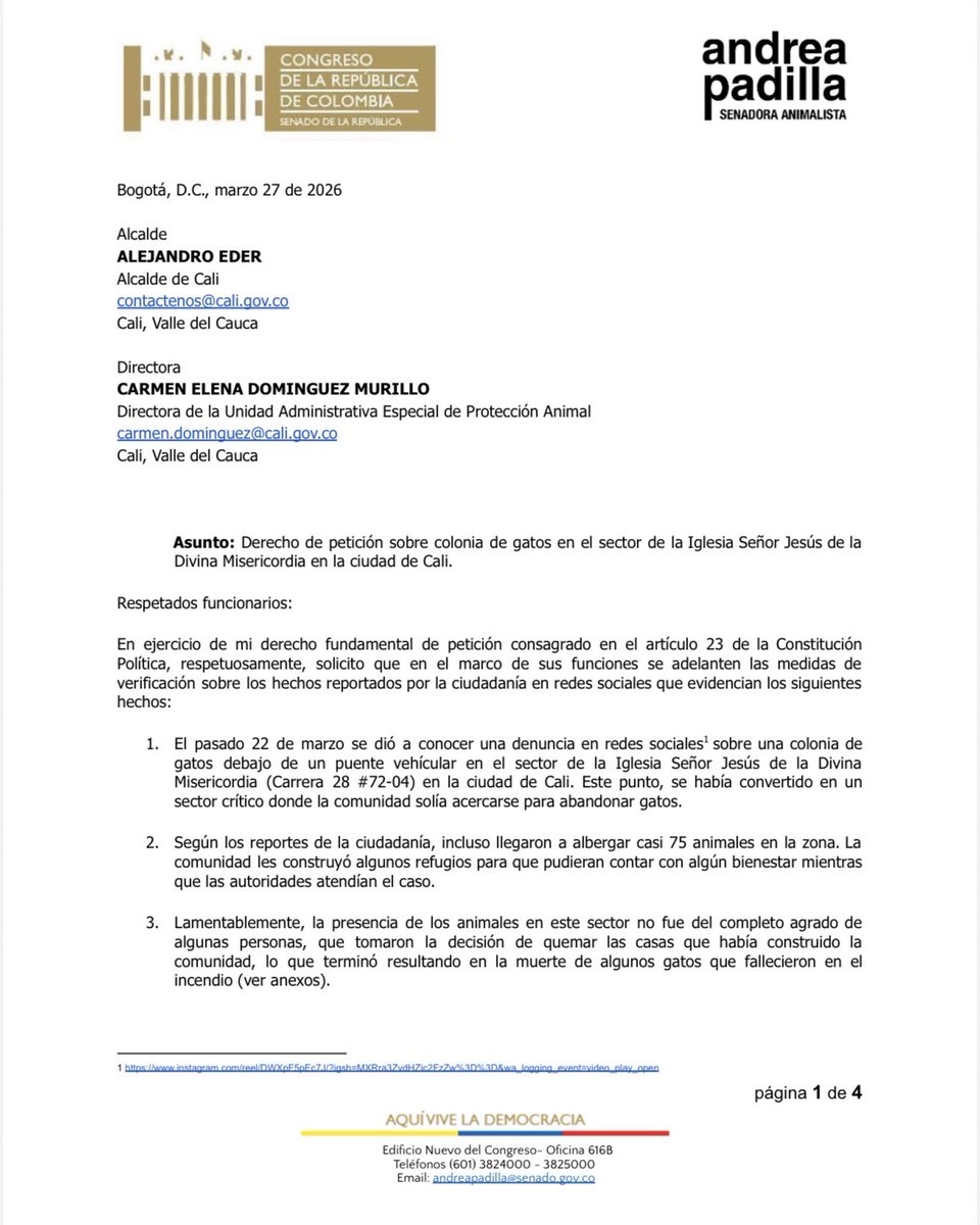 Andrea Padilla Villarraga 🪽🐾 tweet media