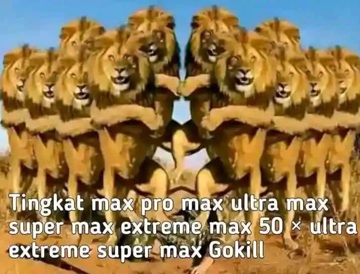 eunchae. tweet media