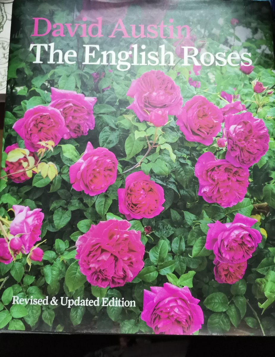 David Braun tweet media