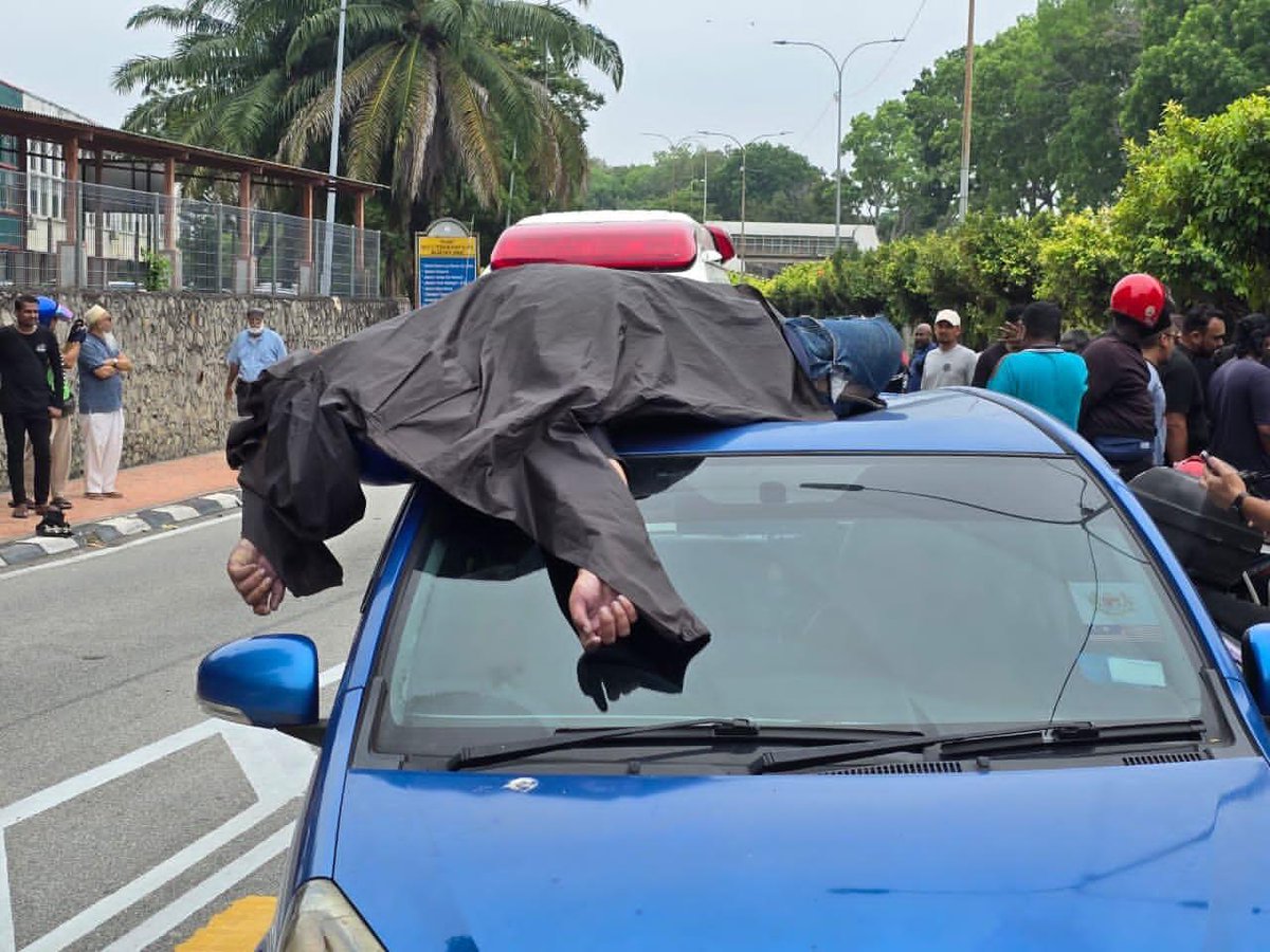 MYNEWSHUB tweet media