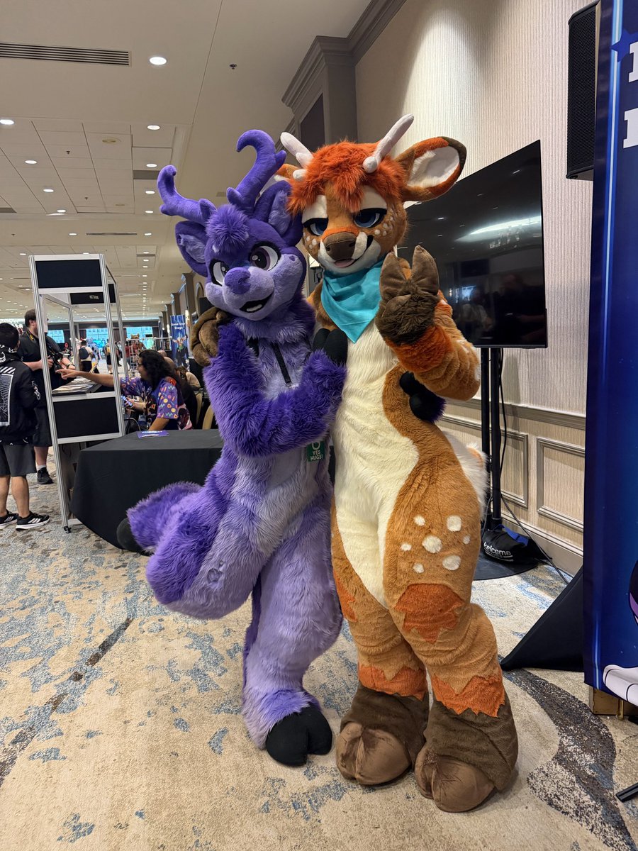 ready for my last (?) day at #tff !
