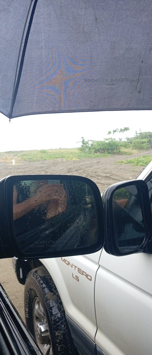 SmokinLove₿ill🌴🐒🍺🟠🥓🥩🍖🍗 tweet media