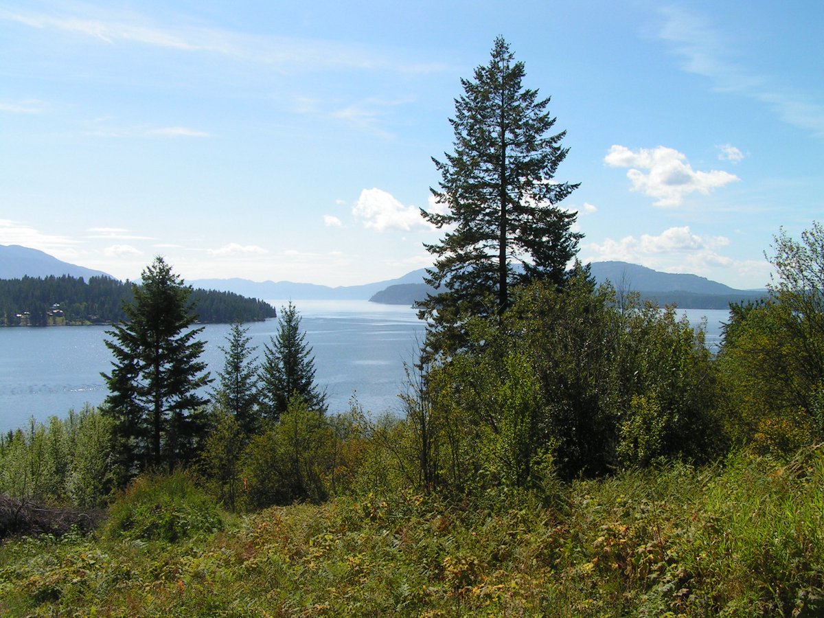 John Owen tweet media