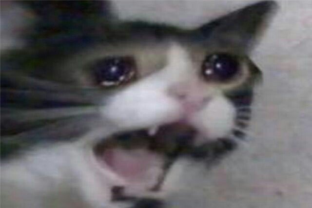 bbabyjen🍼 tweet media