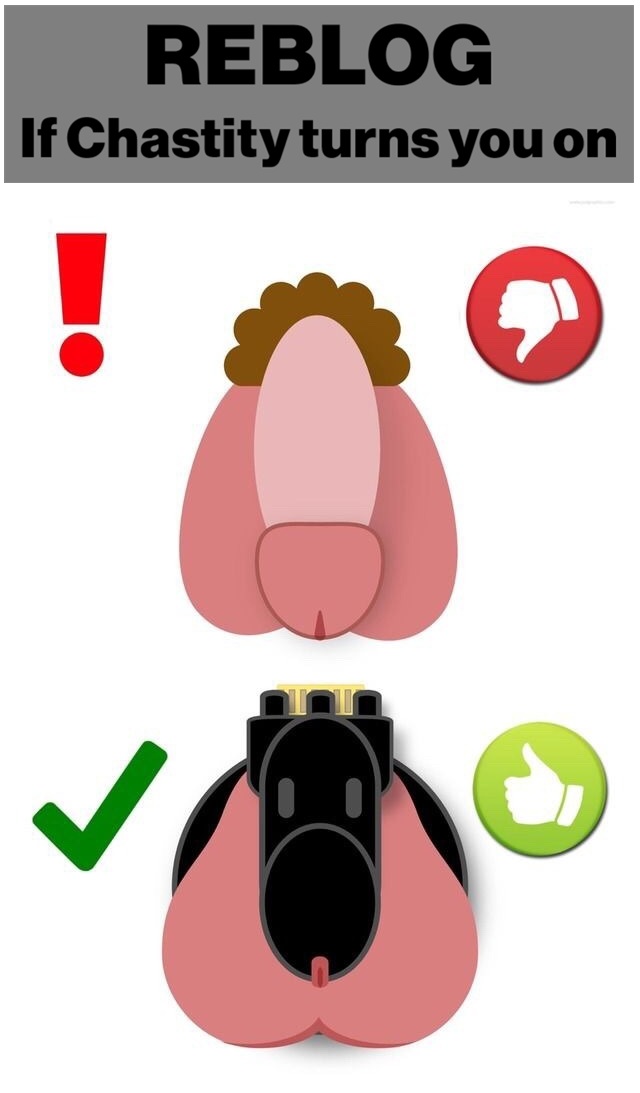 Gay Chastity🍆 tweet media