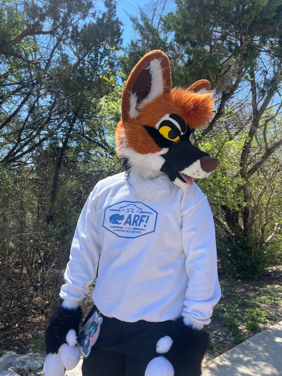 San Antonio Furry Events tweet media