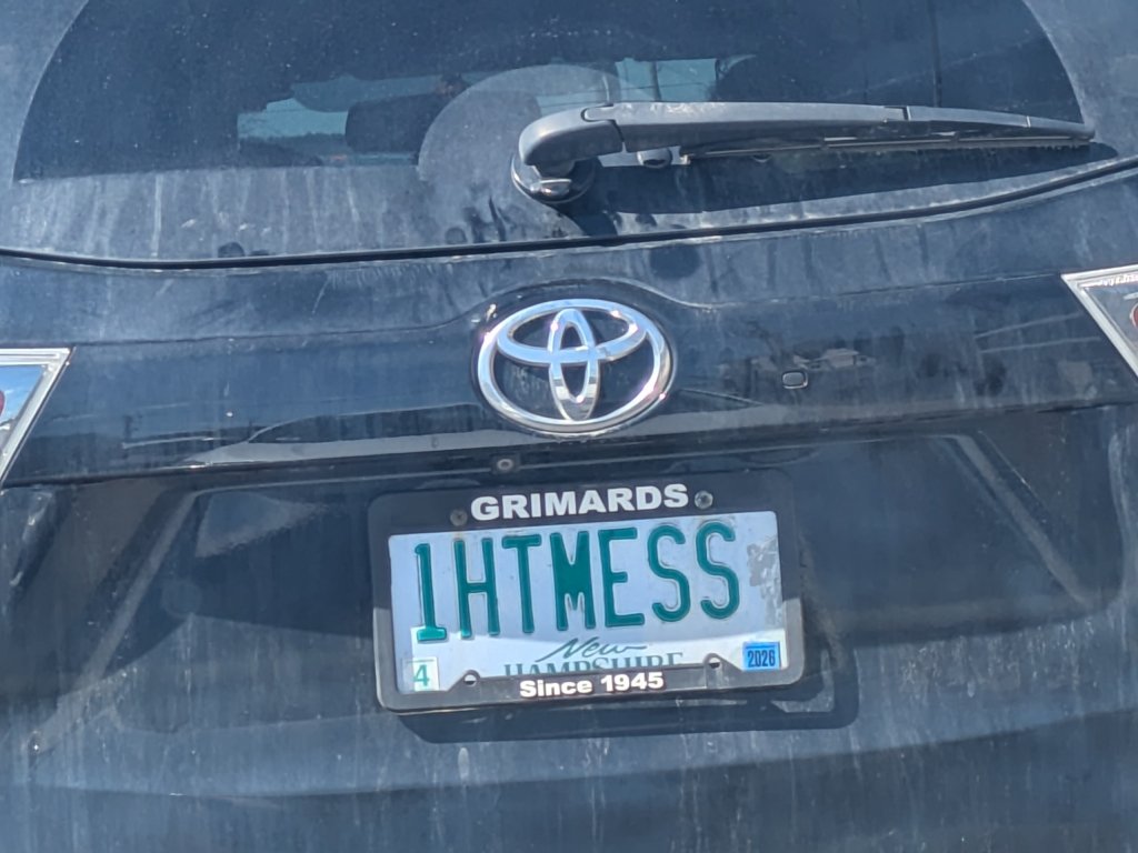 haavi 🦐🇵🇸 tweet media