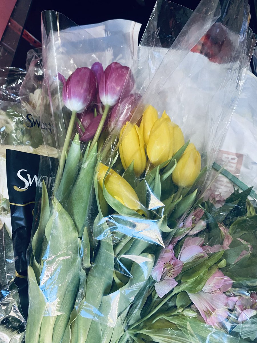 luaabbh's tweet photo. Lírios tulipas e hibiscos quando são as flores mais lindas desse mundo https://t.co/kgkktLFTGZ
