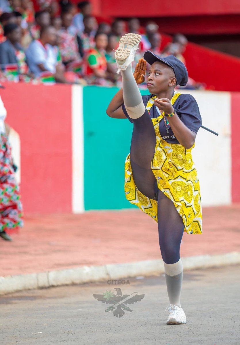 BONA FIDES tweet media