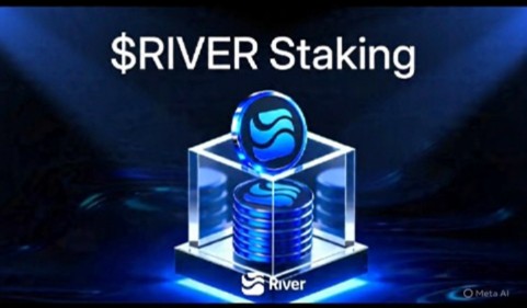 Muhammad kashif tweet media