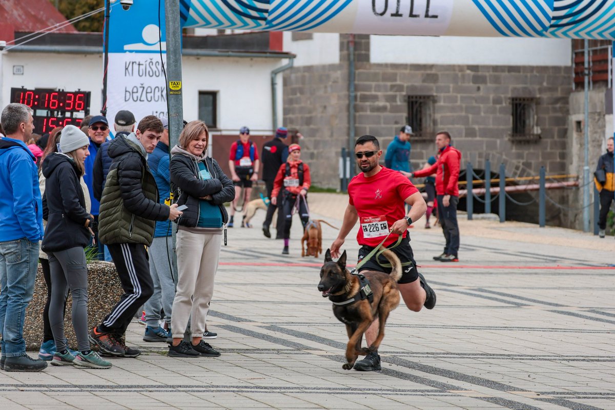 Amigos del 3º Tercio tweet media