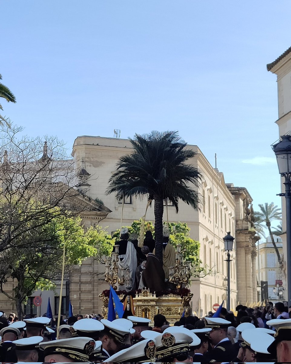 Vera-Cruz de Los Palacios tweet media