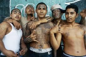 marquis del palacio tweet media