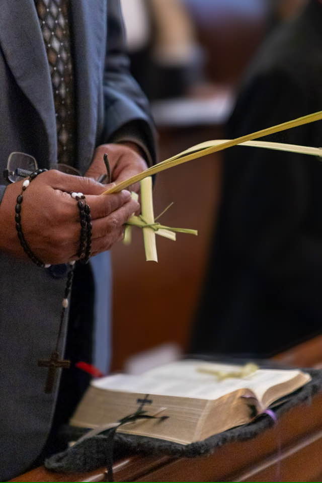 FSSP North American Province tweet media