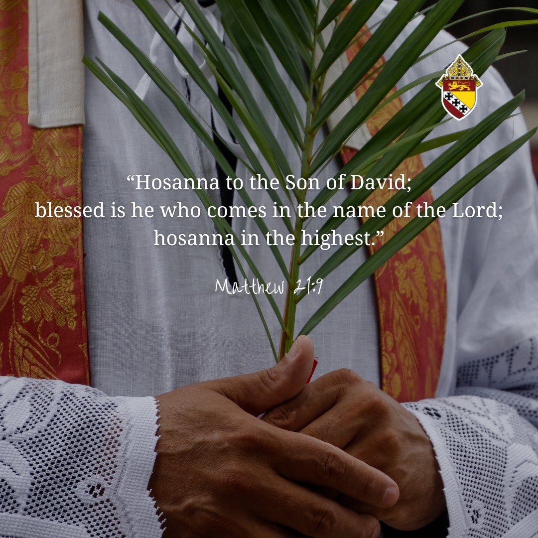 Diocese of Charleston tweet media