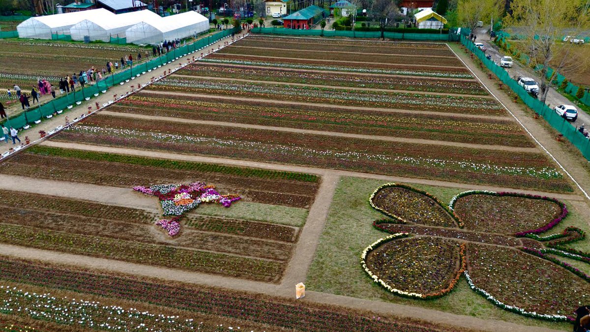 CSIR-IIIM tweet media