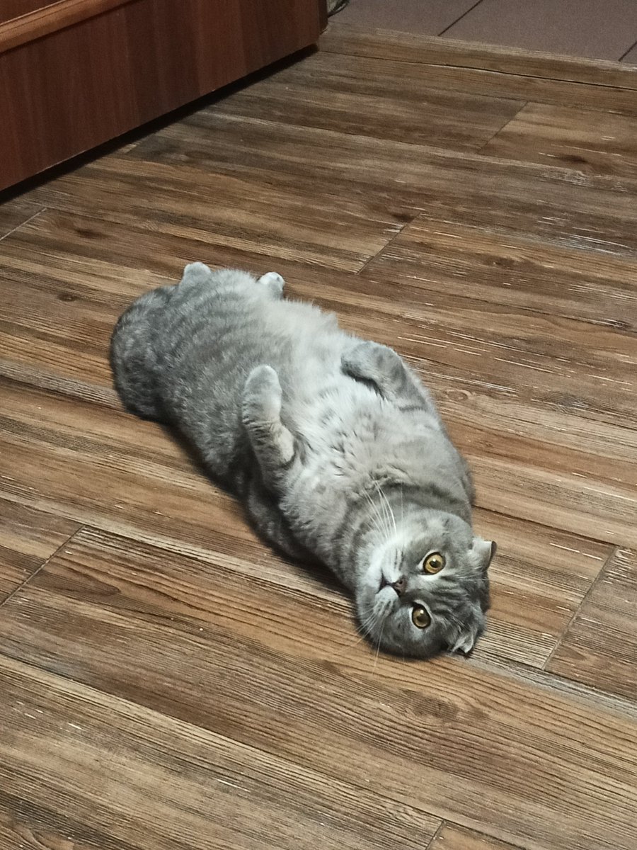 |чернобелочка| tweet media