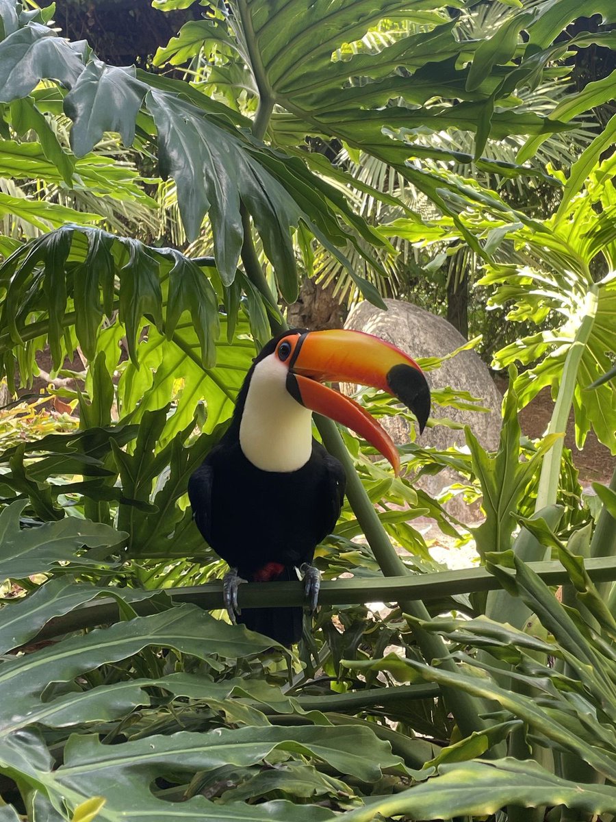 wavemood tweet media