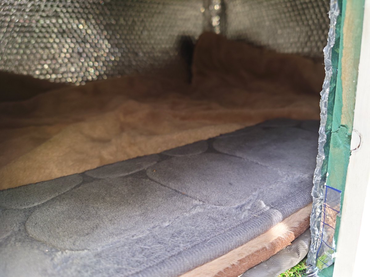 Jean-Baptiste 🎀🌴☃️🐯🩶 tweet media