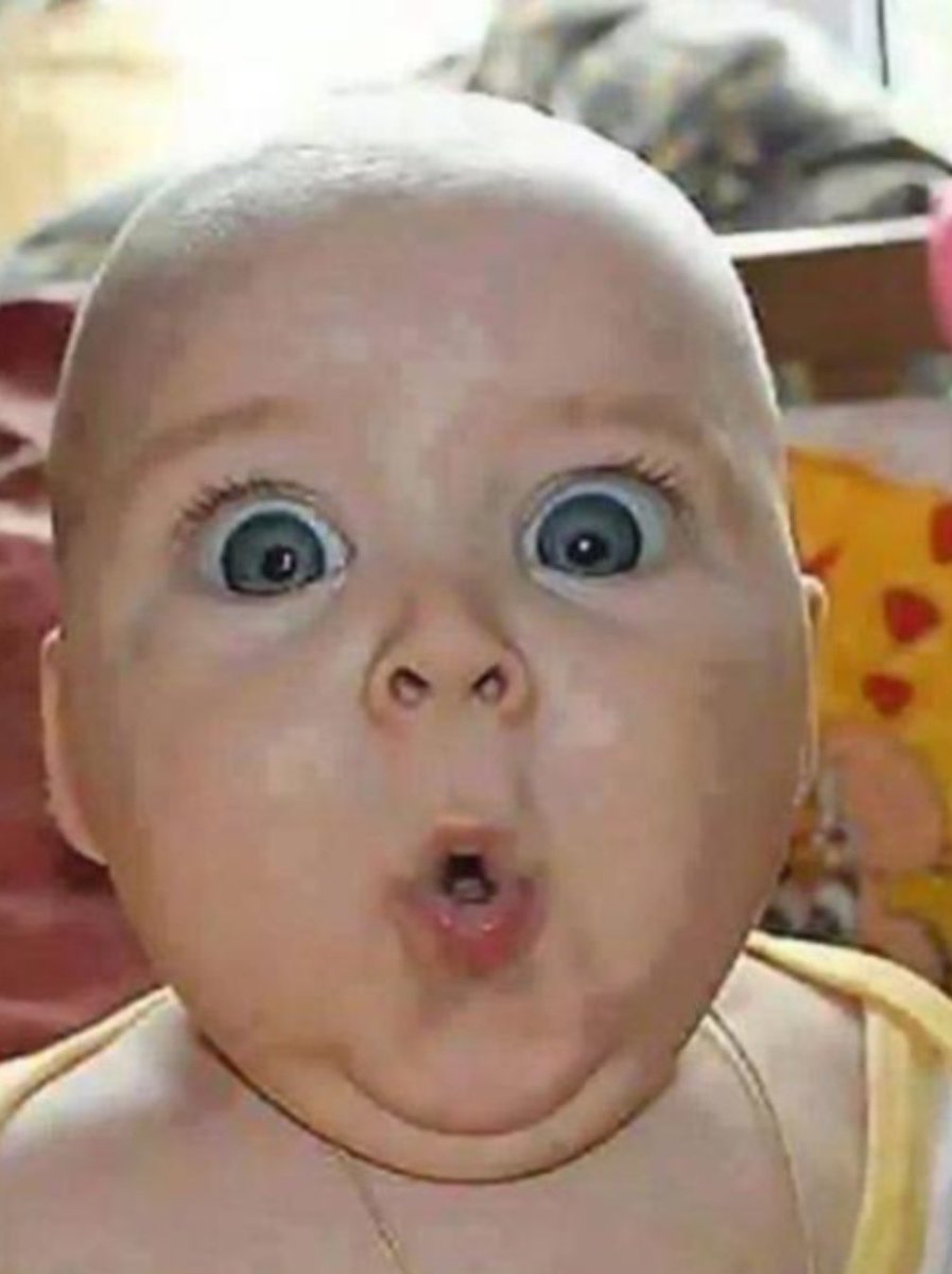 𝕮𝖂𝕭/jnF🦈 tweet media