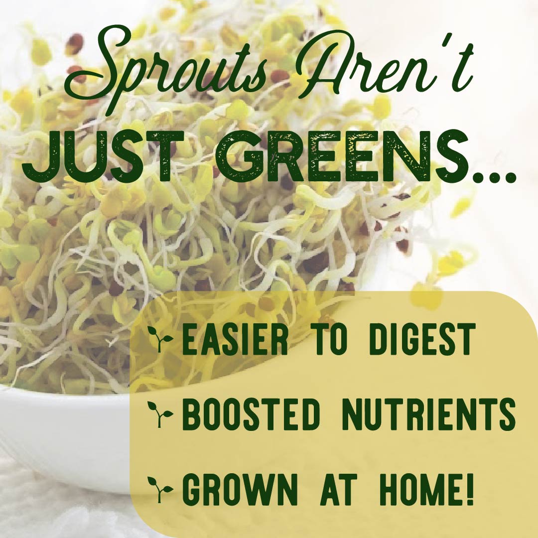 True Leaf Market tweet media