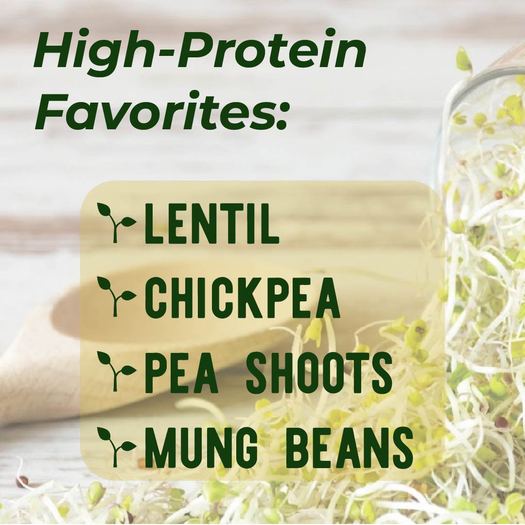 True Leaf Market tweet media