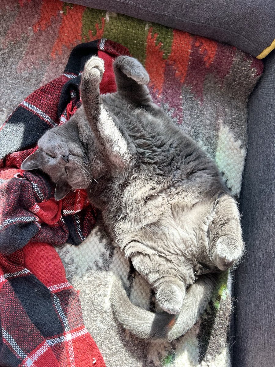 Радаґаздиня Василівна tweet media