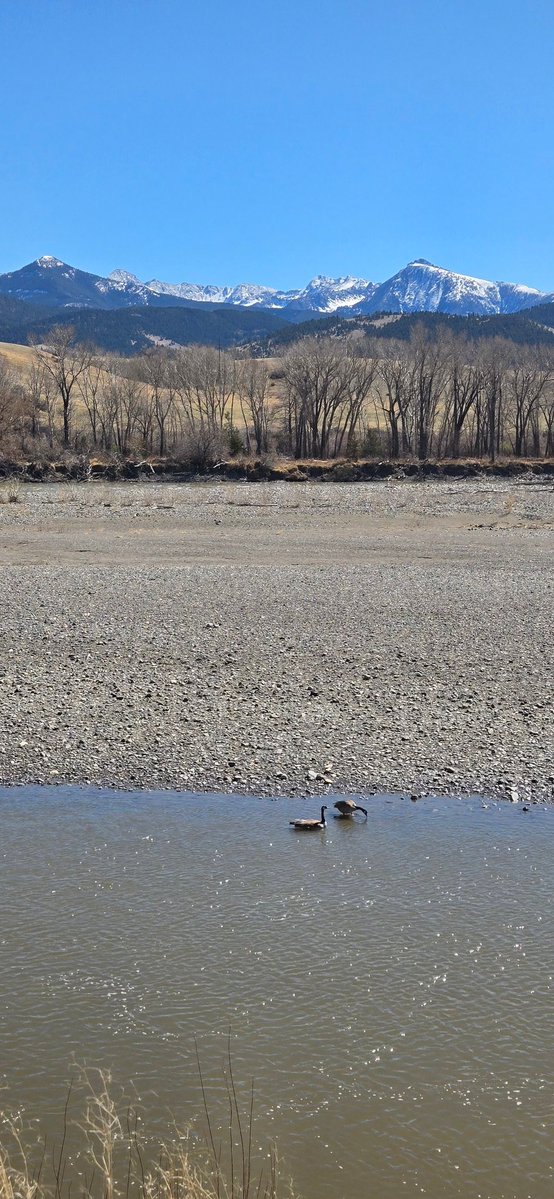 HorsesRGreat tweet media