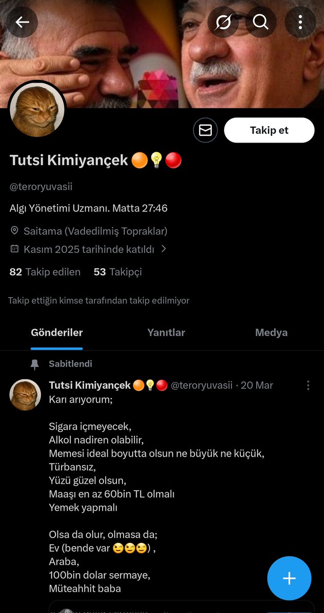 The Flying Cat (Pizza Majstor u BIH 🇧🇦) tweet media