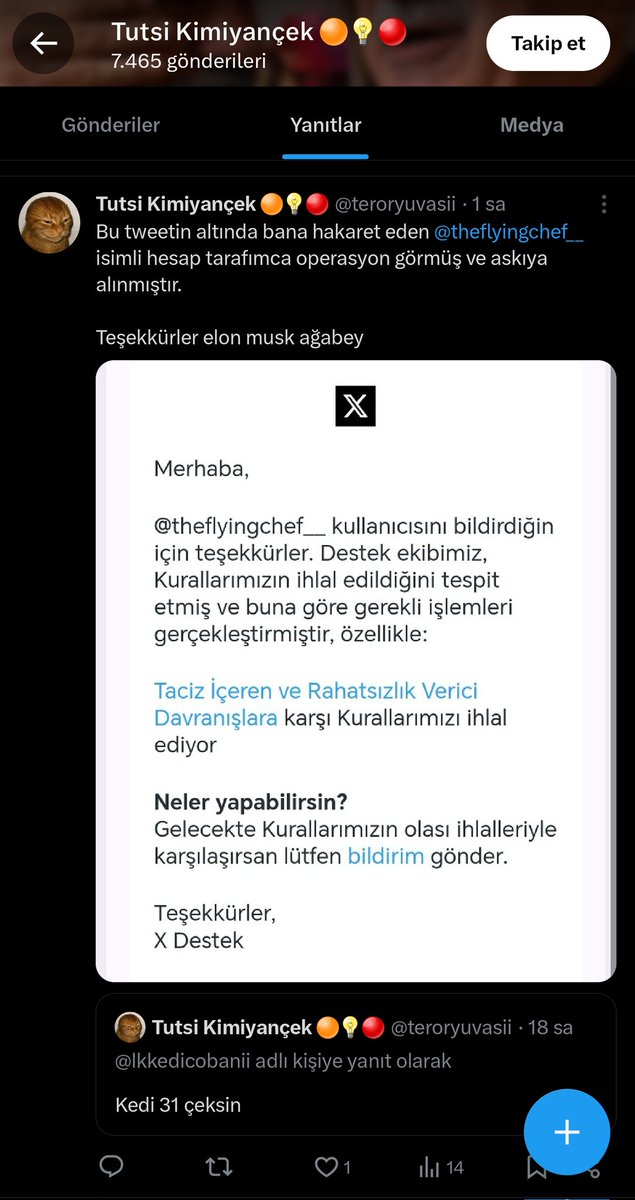 The Flying Cat (Pizza Majstor u BIH 🇧🇦) tweet media