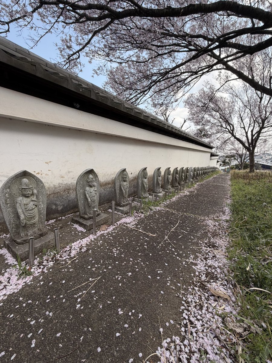 aosiskamada's tweet image. 今日は
人のいない
桜🌸を楽しみに
里山は良いです
お魚の良いお店見つけて
夕ご飯はとても充実

 #toshiyakamada
 #forthwaverecordfactory
 #musicproducer
 #thesistars
 #hiroakiigarashi
 #neverknew
 #Yuzuna
 #uta
 #hanami