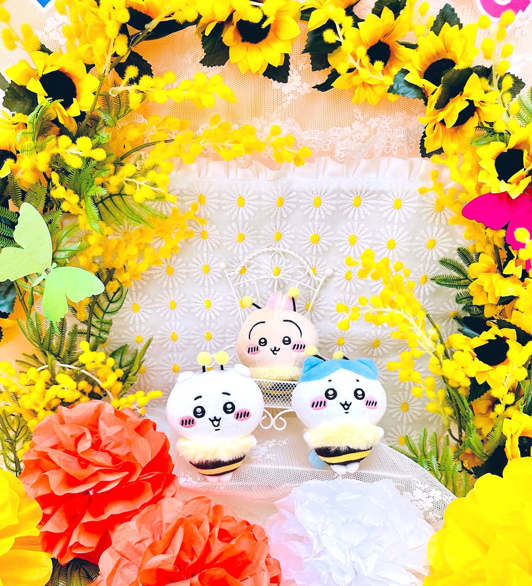 しぽぽ೨⁾⁾ tweet media